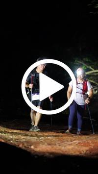 BIB:  <button type="button" onclick="openModal(27557759)" class="btn btn-primary btn-sm float-right" data-toggle="modal" data-target=".modal-high-quality">
                <i class="fa fa-download"></i> Download
                </button>